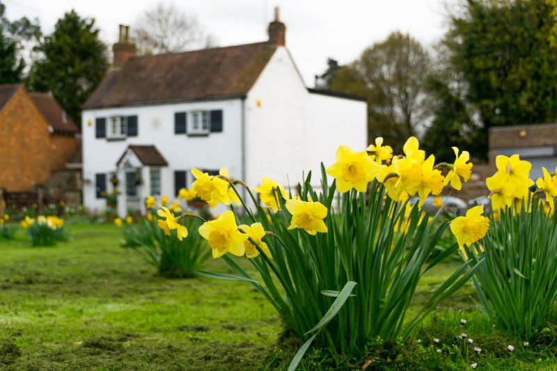 small cottage with flower garden